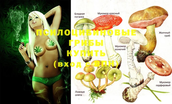 ПСИЛОЦИБИНОВЫЕ ГРИБЫ Аркадак