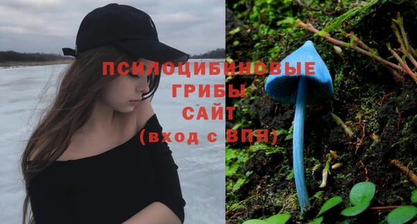 Альфа ПВП Армянск