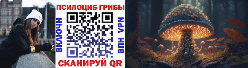 hydra как зайти Спас-Деменск Галлюциногенные грибы мухоморы